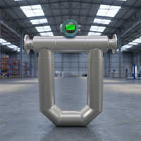 Yunyi Coriolis Mass Flow Meter Low Pressure Drop 100kPa Max Multiple Outputs Pulse Analog Suitable for Batching Filling System