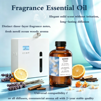 Huile aromatique longue durée de qualité supérieure pour diffuseur d'arômes commercial, sans eau, pour usine B2B