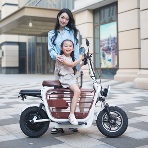 <span class=keywords><strong>Vélo</strong></span> pliable pour animaux de compagnie 500w 3 <span class=keywords><strong>places</strong></span> Scooter électrique de transport Scooter électrique pour adultes - Product Image 1
