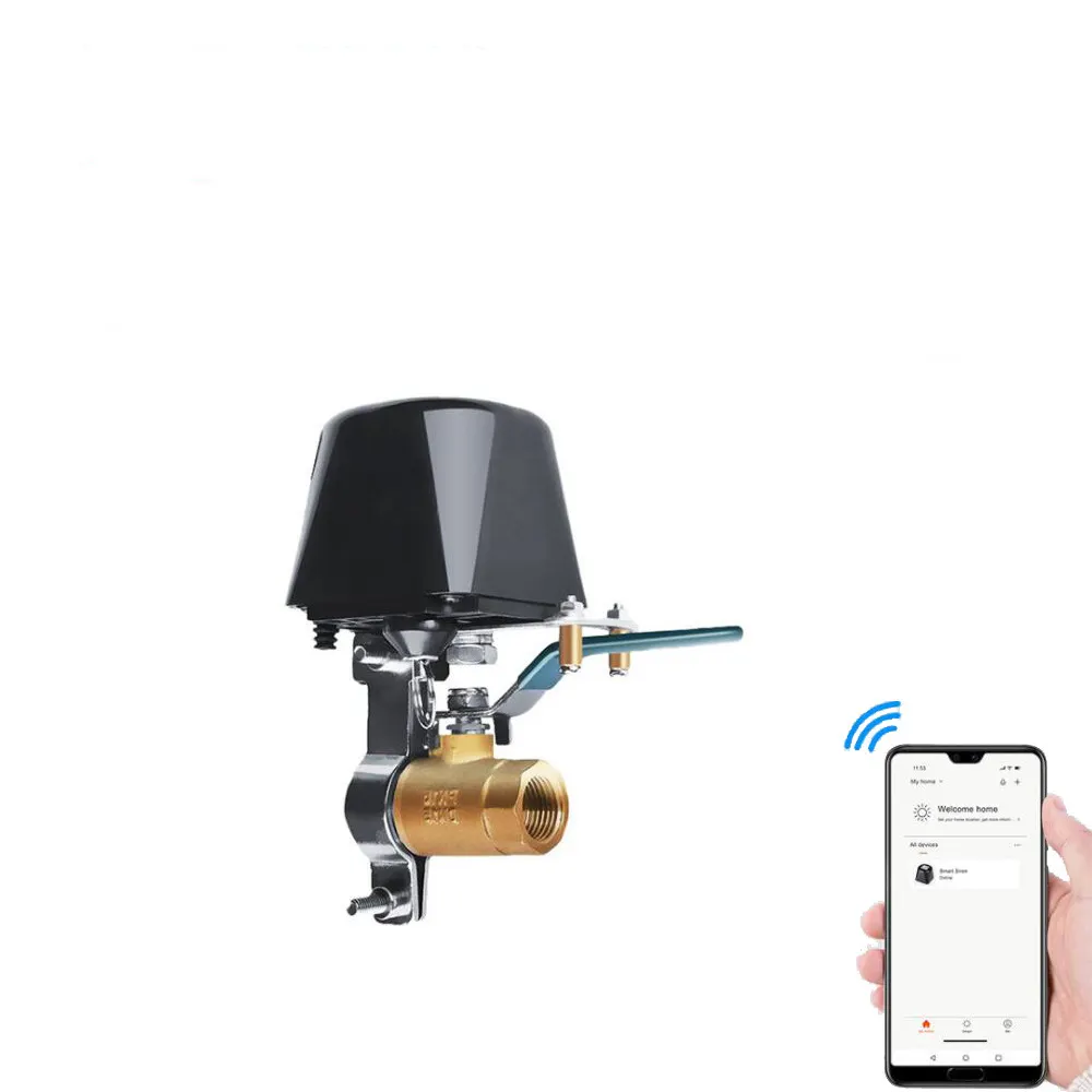Compresseur d'air avec valve, électrovanne 1/4 bambou, Wifi, d'ouverture ordinaire, vanne, télécommande intelligente avec capteur d'eau