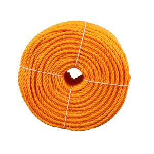 Nhà Máy Giá tùy chỉnh vận chuyển <span class=keywords><strong>Nylon</strong></span> <span class=keywords><strong>3</strong></span> sợi PP dây được làm bằng vật liệu PE bền - Product Image 3