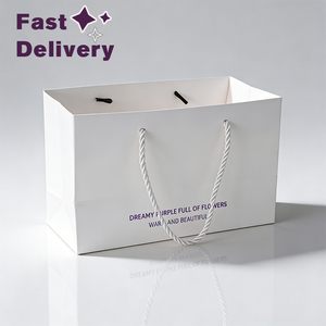 Bolsa <span class=keywords><strong>de</strong></span> Regalo <span class=keywords><strong>de</strong></span> Papel Blanco Ecológica Clásica con Logotipo Personalizado, con Asa <span class=keywords><strong>de</strong></span> Cuerda <span class=keywords><strong>de</strong></span> Algodón Gruesa para Promoción - Product Image 3