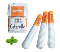 Jouet interactif moderne pour chat, nettoyant pour les dents, en peluche verte, en forme de boîte à cigarettes, avec son