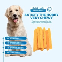 Friandises durables de qualité supérieure Nouveauté Biscuits professionnels de haute qualité Snacks modernes pour chiens