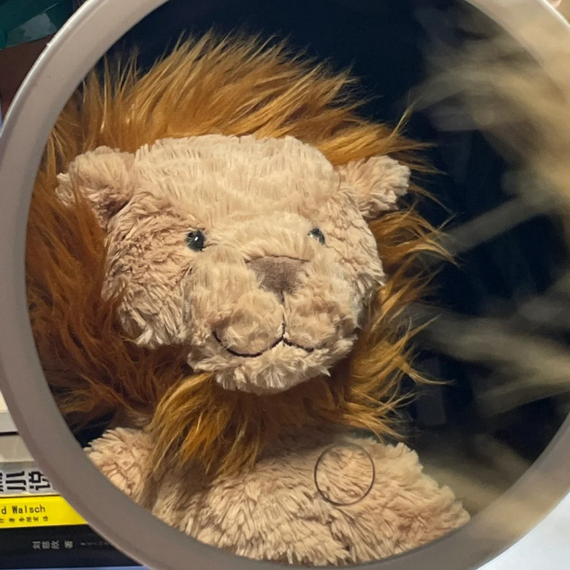 Lion ondulé 23cm