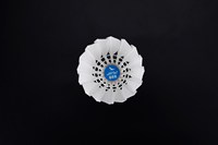 Volant de Badminton professionnel, boule de plumes d'oie, blanc, pour sport, tournoi, absorbant