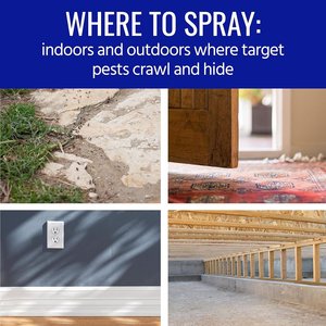 <span class=keywords><strong>Insecticida</strong></span> en Aerosol de Acción Rápida <span class=keywords><strong>para</strong></span> el Hogar, Fórmula a Base de Plantas, Repelente de Mosquitos <span class=keywords><strong>para</strong></span> Interiores - Product Image 6