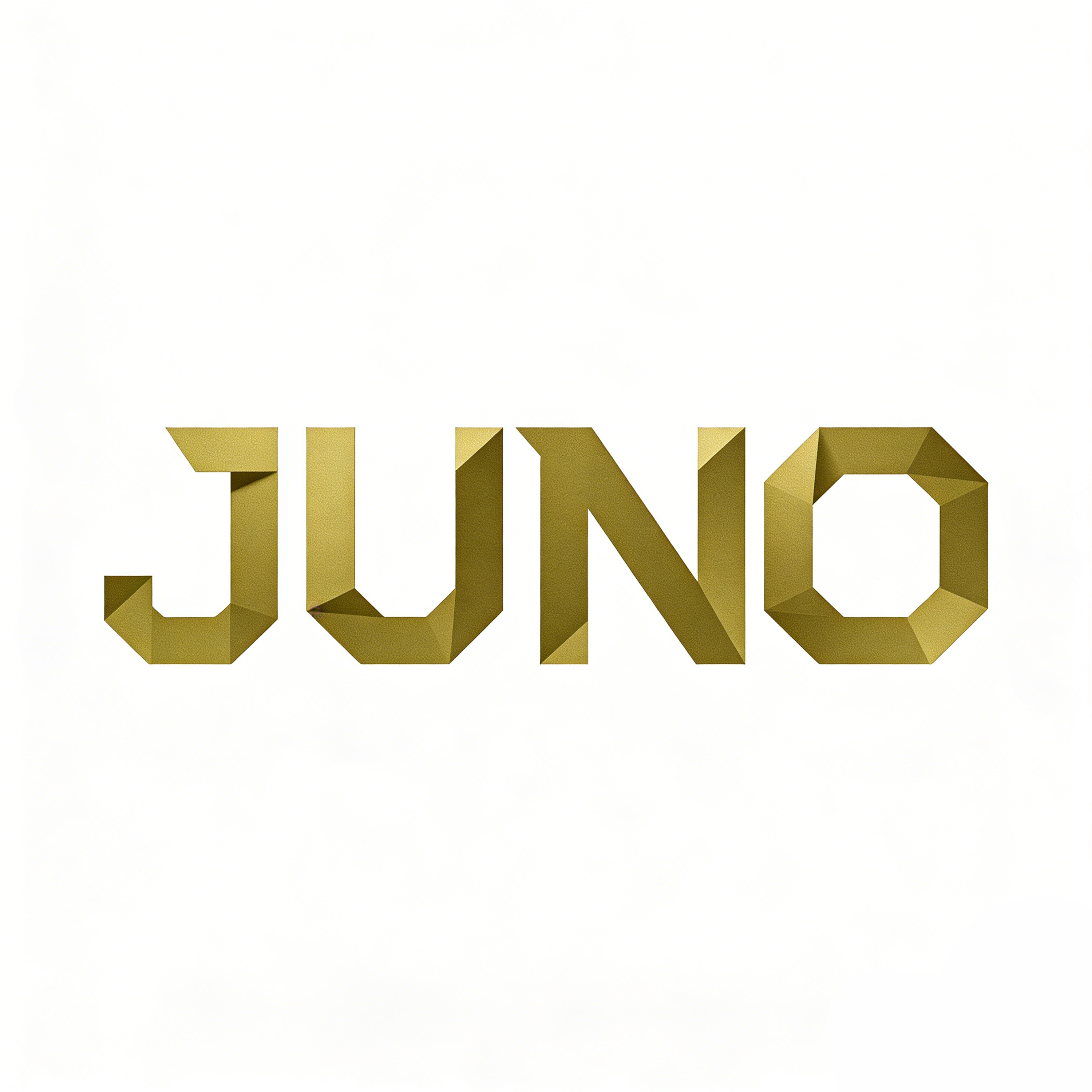 Jieyang JUNO Garments Co., Ltd. logo