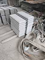 Pierre de bordure en granit gris clair naturel durable, finition mate, pour les bords de piscine et les murs de jardin