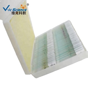 100 Stück menschliche Mikro fotografie Histologie vorbereitet Objektträger Set Proben Mikroskop vorbereitet Objektträger Histologie Objektträger - Product Image 2