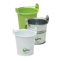 Kits de fleur de arrosoir de peinture de cuisson de couleur en métal pour la croissance de fleurs de plantes