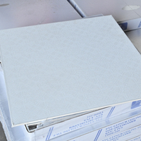 Paneles de Techo de Yeso con Revestimiento de PVC Personalizables al por Mayor de Fábrica, con Reverso de Lámina de Aluminio, Resistentes al Fuego y a la Humedad
