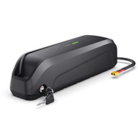 Batterie lithium rechargeable EU Stock 36V 48V 15Ah 20Ah avec BMS 20A 30A et chargeur pour vélo électrique