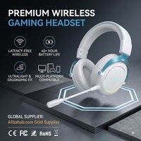 Casque de jeu sans fil personnalisé OEM/ODM avec éclairage RGB, son surround et plus de 20 heures d'autonomie de la batterie