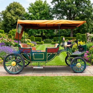 Calèche de luxe européenne de haute qualité pour le tourisme et les transportations spéciales en extérieur - Product Image 1