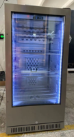 Gabinete Vertical de Maduración en Seco de Gran Capacidad para Uso Comercial, Control Digital de Temperatura y Humedad, Refrigerador de Acero Inoxidable 304
