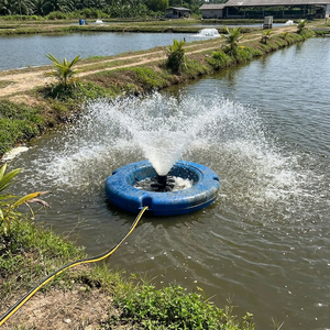Système d'aération à source d'air pour l'amélioration de la qualité de l'eau des lacs, 2 CV, en acier inoxydable, faible bruit, économe en énergie, résistant aux intempéries, sans huile - Product Image 3