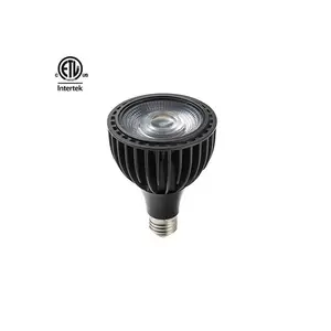 Sê-ri Đá Mã Não Daytonled Trang Sức ETL CETL 35W 40W Par 30 Bóng Đèn Led