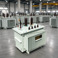 Transformateur de distribution triphasé 10 kV 400 V 100 kVA S20M à noyau superposé immergé dans l'huile, à deux enroulements, norme IEC/GB, hors charge, 50 Hz