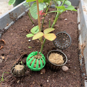 Boîte d'engrais pour plantes en plastique <span class=keywords><strong>Bonsai</strong></span> Tool Engrais Cover Basket Box - Product Image 4