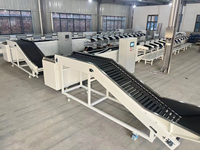 Machine de tri optique automatique pour avocat, olive, pomme, cerise, légume, usine de traitement de fruits