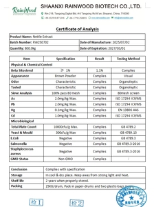 Rainwood Cung cấp stinging cây tầm ma gốc chiết xuất bột 10:1 cây tầm ma chiết xuất - Product Image 2
