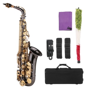 Saxophone alto en Mi bémol, saxophone en la nickelé avec gravure, clés en nacre, instrument à vent en bois avec étui de transport - Product Image 2