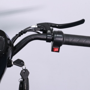 Vélo à deux roues 48v 350w E-bike Scooter à moteur électrique bon marché Vélo électrique à marche basse - Product Image 4