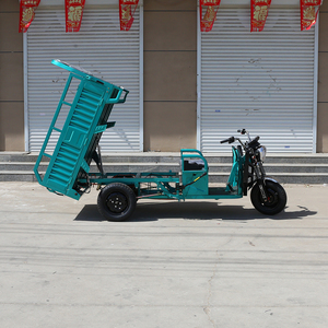 Nouveau 2024 Tricycle Électrique 1000W pour Usage Familial, Vélo Électrique à 3 Roues avec Panier Arrière - Product Image 5