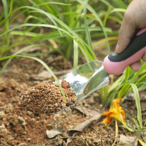 Offre Spéciale Acier Inoxydable Maison L'agriculture 13 Pcs Outils De Jardinage Ensemble Et Tonte Cadeau Désherbage Élagage Cisailles Outils de Jardin - Product Image 5