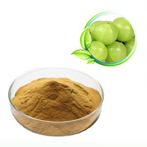 สารสกัดจากผลไม้บริสุทธิ์สารสกัดจาก Phyllanthus emblica - Product Image 1