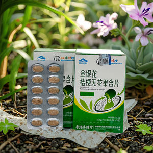 Clearing Heat Detoxifying Geißblatt Platy codon Grandiflorus Feige Lutsch tabletten Tabletten Husten entlastung Flasche Verpackung Pflanzen extrakt - Product Image 5