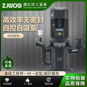 Wfb Seal Less Self Priming Pump Cast <b>Iron</b> Body High Flow High Head Electric Motor Sewage Pump - Product Image 4