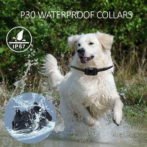 Collar <span class=keywords><strong>de</strong></span> Adiestramiento <span class=keywords><strong>para</strong></span> <span class=keywords><strong>Perros</strong></span> a Prueba <span class=keywords><strong>de</strong></span> Agua Directo <span class=keywords><strong>de</strong></span> Fábrica - Collar <span class=keywords><strong>de</strong></span> Adiestramiento <span class=keywords><strong>para</strong></span> <span class=keywords><strong>Perros</strong></span> con Control Remoto <span class=keywords><strong>de</strong></span> 3000 pies y 3 Modos <span class=keywords><strong>para</strong></span> <span class=keywords><strong>Perros</strong></span> Pequeños, Medianos y Grandes P30 - Product Image 5