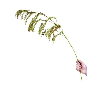 Usine de fleurs artificielles Meiyu Craft, plantes vertes artificielles de 30 cm à 100 cm, décoration de mariage et de maison, plantes en plastique à suspendre au mur - Product Image 3