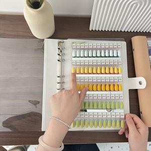 Tablero Magnético para Exhibición de Esmaltes de Uñas, 120/150/180/240 Colores, Desmontable, Libro de Muestras de Gel Acrílico para Puntas de Uñas - Product Image 6