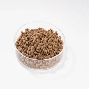 Aliments secs pour chats en vrac personnalisés OEM Aliments secs pour chats pour animaux de compagnie de marque privée à haute teneur en protéines