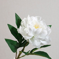 Bunga Peony Pink Berkualitas Tinggi dengan Sentuhan Alami