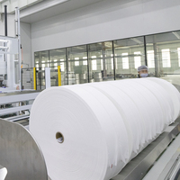 Usine personnalisé biodégradable écologique résistant à la déchirure 100% coton Spunlace tissu non tissé pour serviettes jetables pour le visage