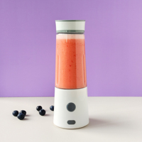 Mini blender électrique Vente en gros Smoothie Jus de fruits frais Mini blender rapide portable Tasses Bouteille Usb Juicers Cup Blenders
