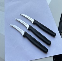 Couteau éplucheur de melon de fruits écologique avec manche en plastique en acier inoxydable avec design courbé pour usage domestique dans la cuisine