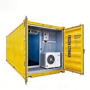 Cella Frigorifera Commerciale a Prezzo di Fabbrica, Congelatore Rapido, Container Refrigerato 20Ft, Unità di Refrigerazione - Product Image 4