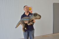 Marionnette de dinosaure animatronique, marionnette personnalisée, marionnette réaliste de bébé dinosaure, modèle de dinosaure animatronique