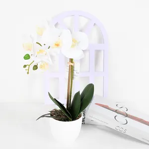 Real Touch Simulation Phalaenopsis Orchid Flower Potted Plants Faux Artificial Phalaenopsis In Melamine Curve Pot