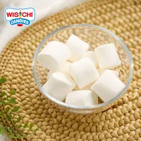 Campione gratuito WISICHI vendite 1000g su ordine all'ingrosso halal bianco marshmallow