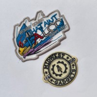 ZT-BLA32 - Badges brodés en gros, logo de dessin animé personnalisé, patchs thermocollants pour softball et western, écussons brodés pour vêtements d'enfants