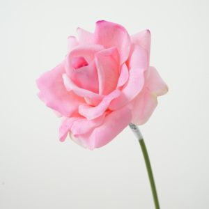 Rose artificielle en latex au toucher réel |   Rose rose à tige unique, douce et soyeuse |   Décoration de <span class=keywords><strong>mariage</strong></span> et de maison en gros pour le bricolage - Product Image 6