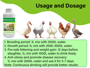 Thịt Gà Vitamin tổng hợp Gà Thịt tăng cường nhanh chóng tăng vỗ béo và tăng cân gia cầm phụ gia thức ăn Trộn Sẵn - Product Image 3