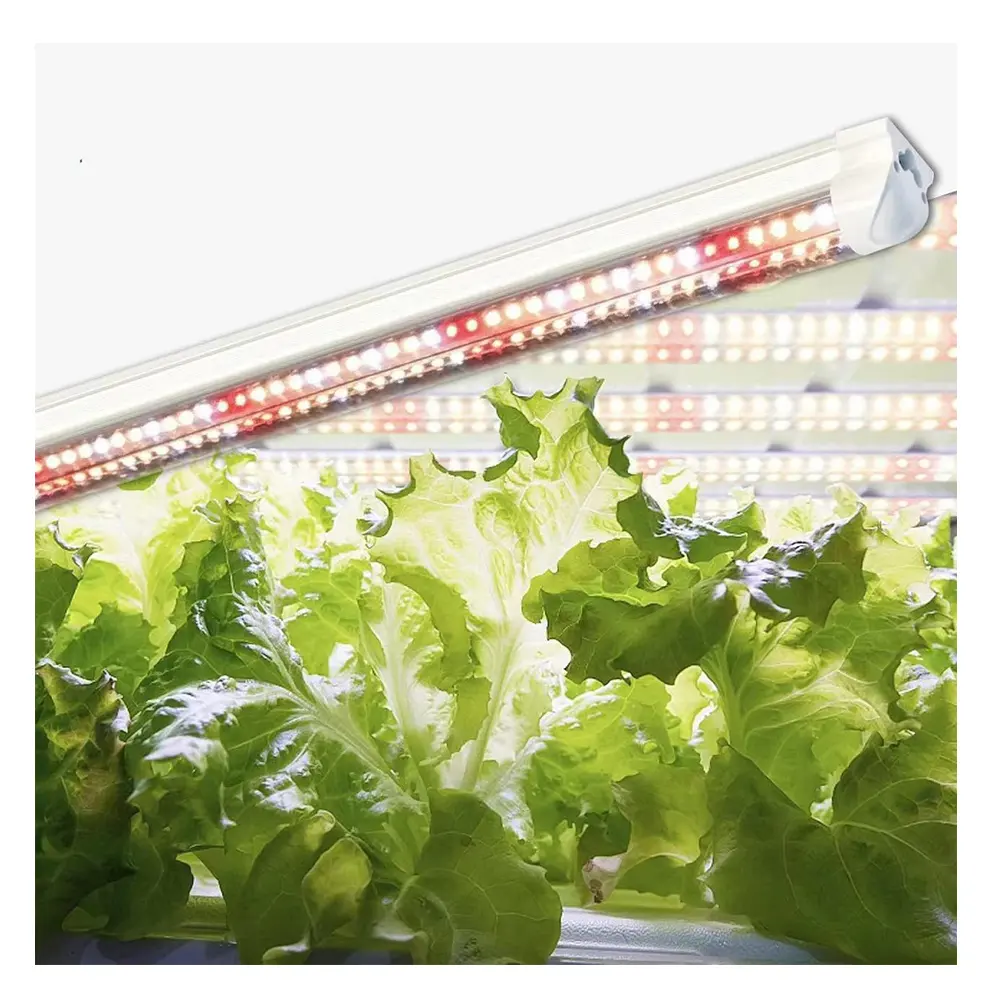 Luces LED de cultivo de espectro completo de alta eficiencia Material de PC DE ALTO PPFD IP65 clasificado para floración de verduras y Inicio de semillas