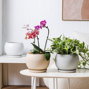 सर्वश्रेष्ठ विक्रेता वैस और फूल के बर्तन विभिन्न शैली सस्ते रचनात्मक बड़े ग्लेज़ेज्ड इनडोर गार्डन सिरेमिक बर्तन - Product Image 6